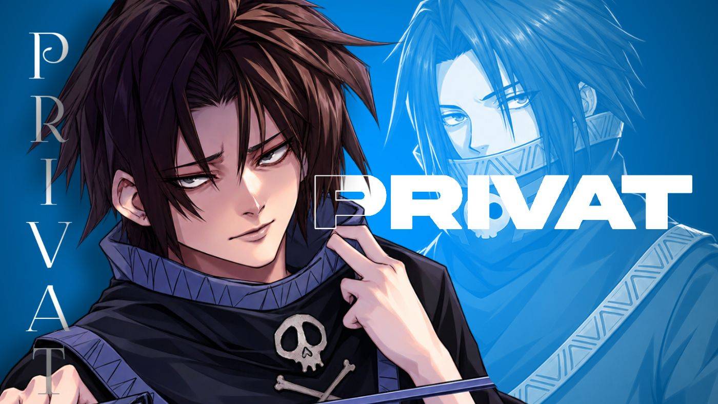 Discovery splash banner for Privat Discord server