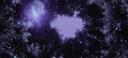 Discovery splash banner for Aᴢᴀʟᴇᴀ Discord server