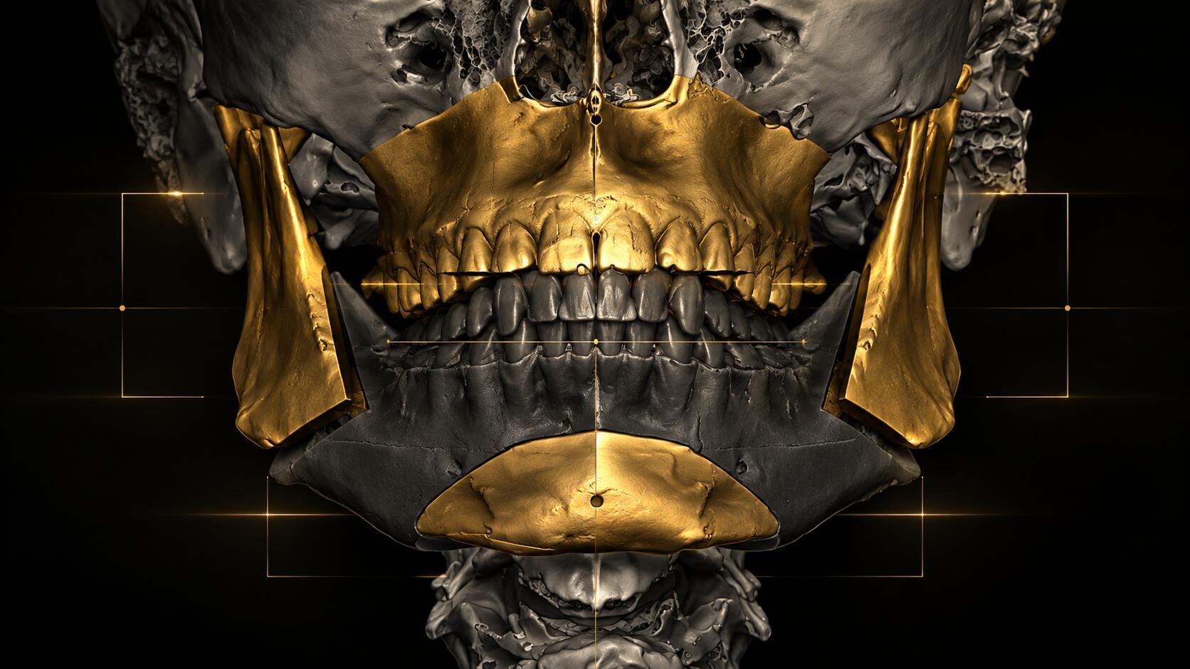 Discovery splash banner for Hardmax.net Discord server