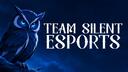 Discovery splash banner for TEAM SILENT ESPORTS Discord server