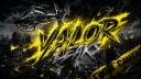 Discovery splash banner for VALOR | #2.9k Discord server