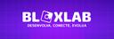Discovery splash banner for BloxLab - Roblox Studio Discord server