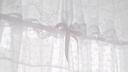 Discovery splash banner for ᦷ ׅ𓏼ᣟ𓈒  ノαngeℓℓιc  ⑅ Discord server