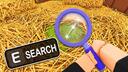 Discovery splash banner for Search For The Needle | Official Discord server