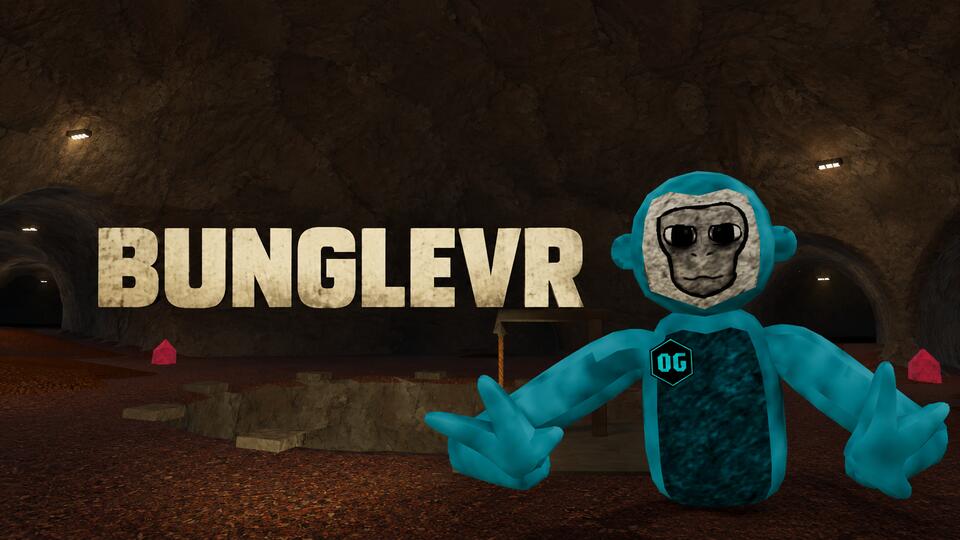 Discovery splash banner for BungleVR Discord server