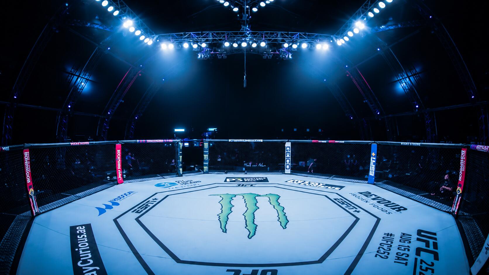 Discovery splash banner for UFC Türkiye #UFC333 Discord server