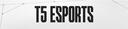 Discovery splash banner for T5 Esports™ | Top Five Discord server