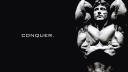 Discovery splash banner for Bodybuilding, Powerlifting & Fitness Discord by Dr. Amir Discord server