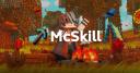 Discovery splash banner for McSkill | Minecraft Discord server