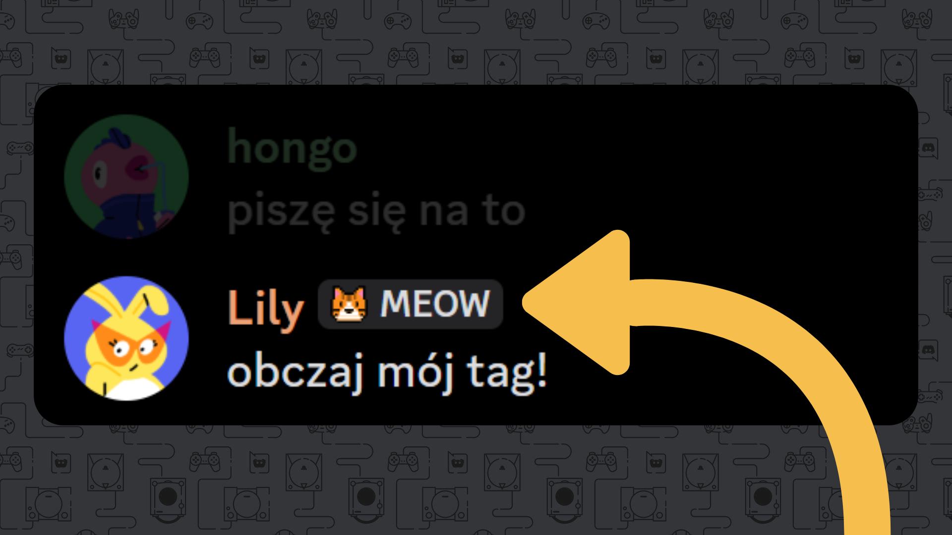 Discovery splash banner for Strata Czasu | Serwer PL Discord server