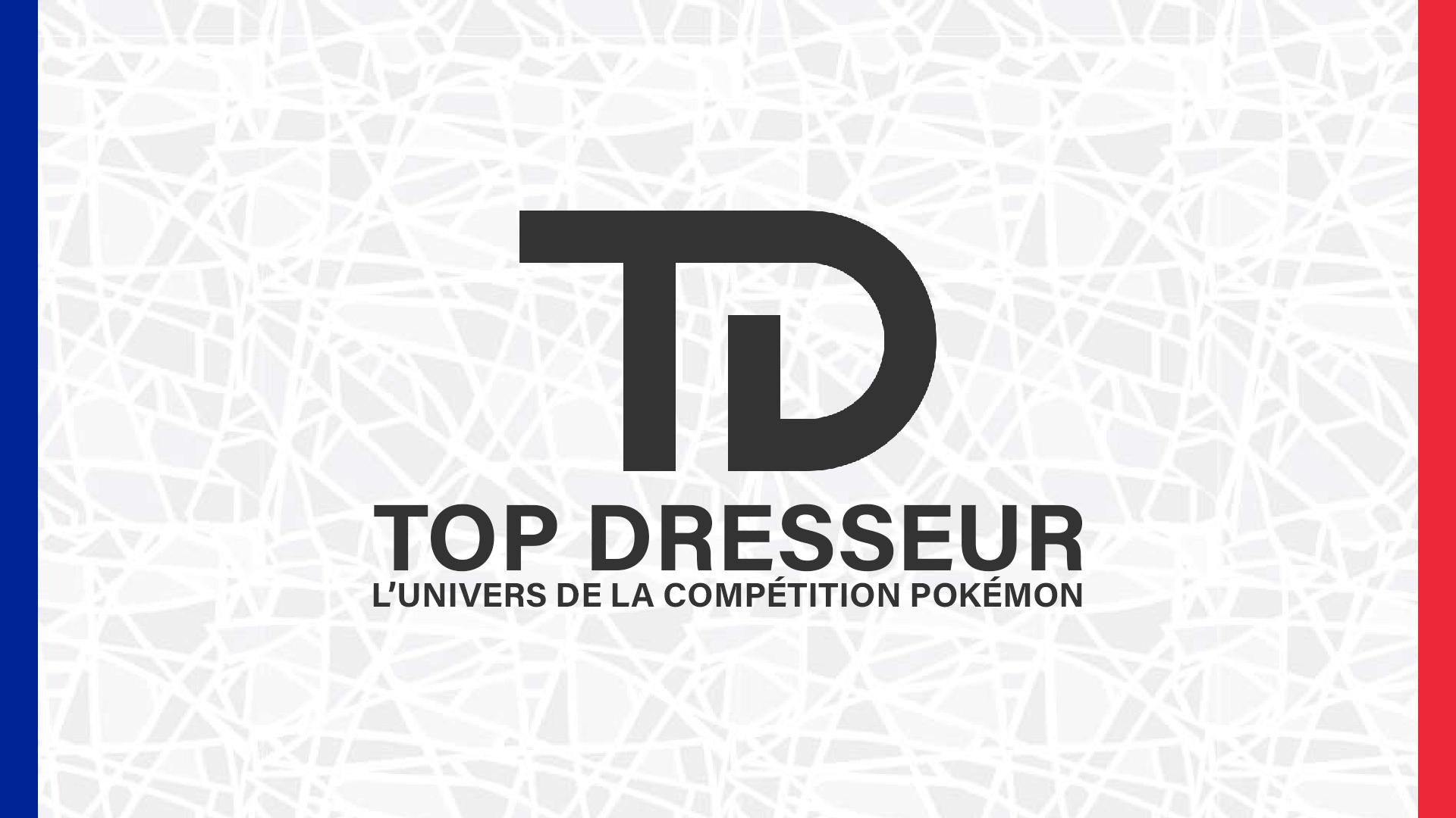 Discovery splash banner for Top Dresseur Discord server
