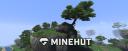 Discovery splash banner for Minehut Discord server
