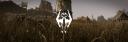 Discovery splash banner for Skyrim Together Discord server