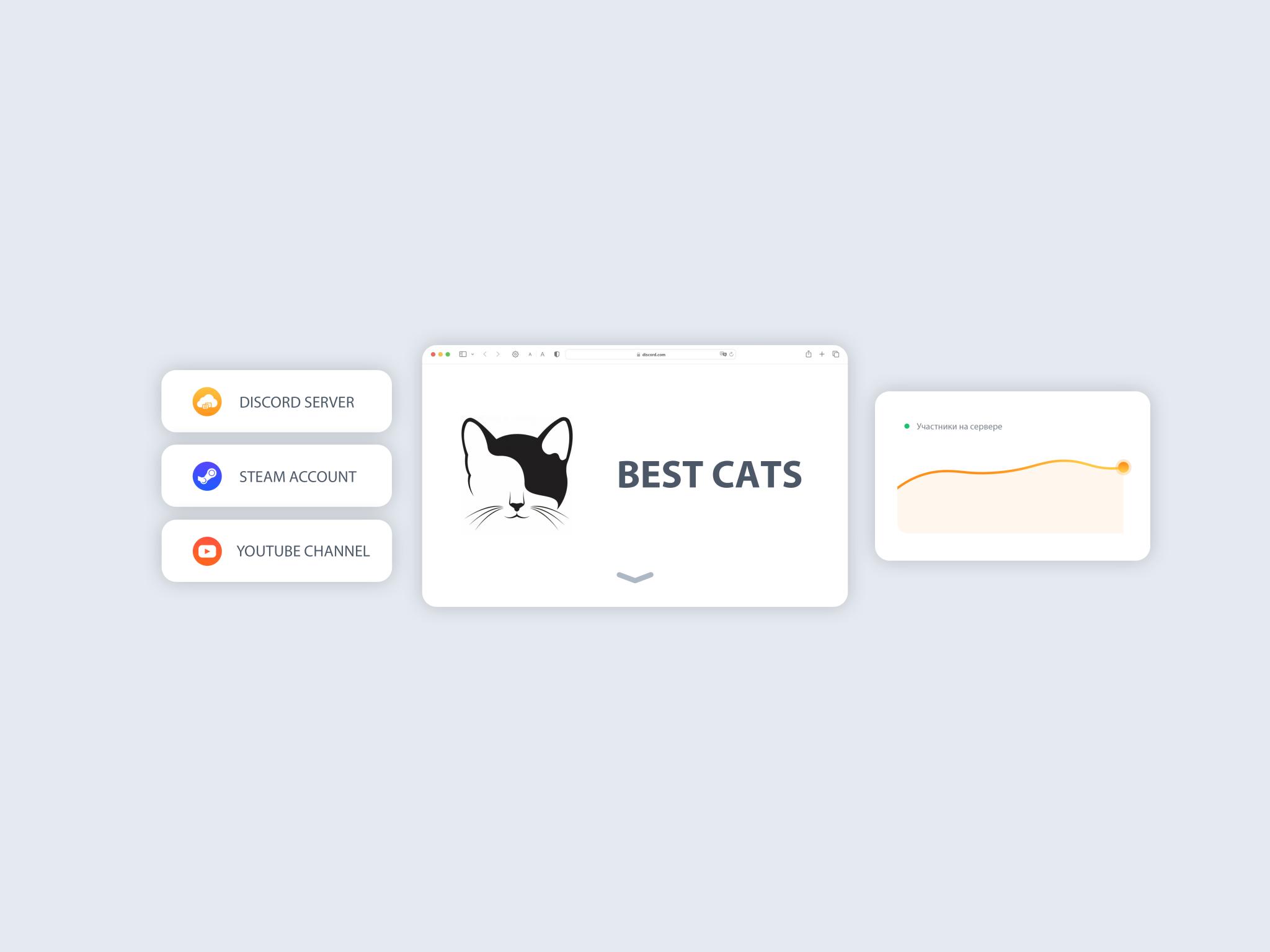 Discovery splash banner for 💖 BEST CATS Discord server