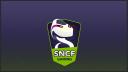 Discovery splash banner for SNCF GAMING Discord server