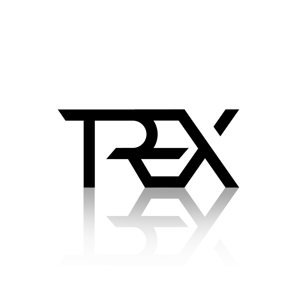 Discovery splash banner for TREX Si Prietenii Discord server
