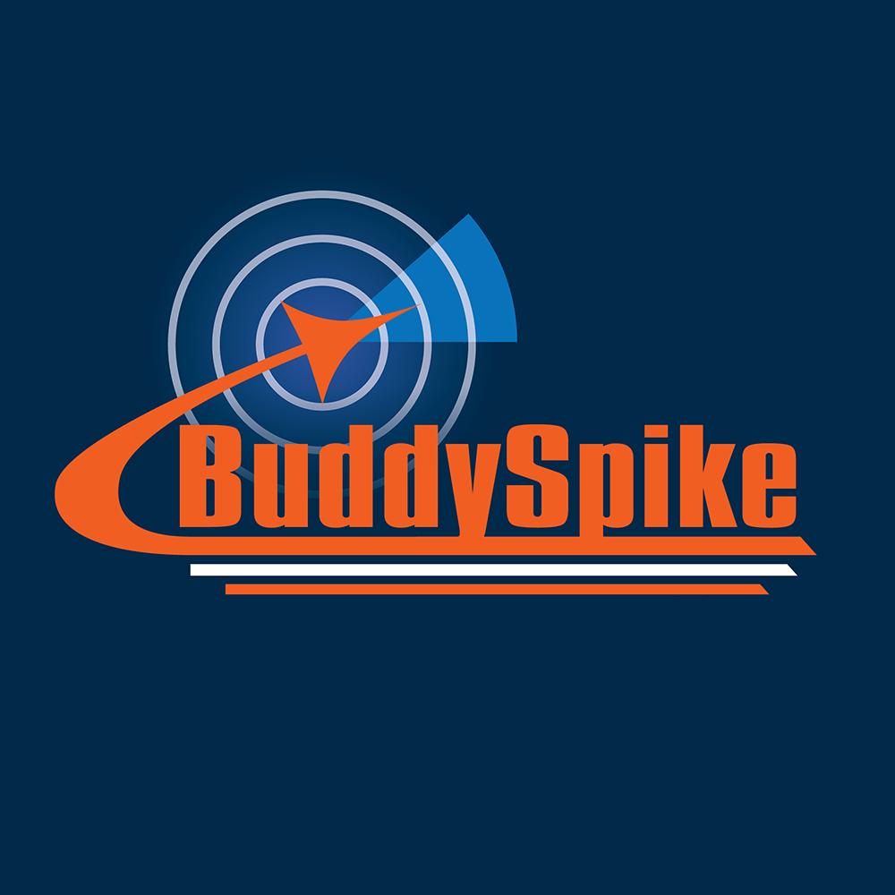 Discovery splash banner for BuddySpike Discord server