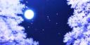 Discovery splash banner for Darkmoon | Chilling . Social . Pfp . Emotes .🥤 Discord server