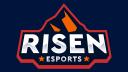 Discovery splash banner for Risen Esports Discord server