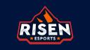 Discovery splash banner for Risen Esports Discord server