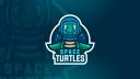 Discovery splash banner for Space Turtles Discord server