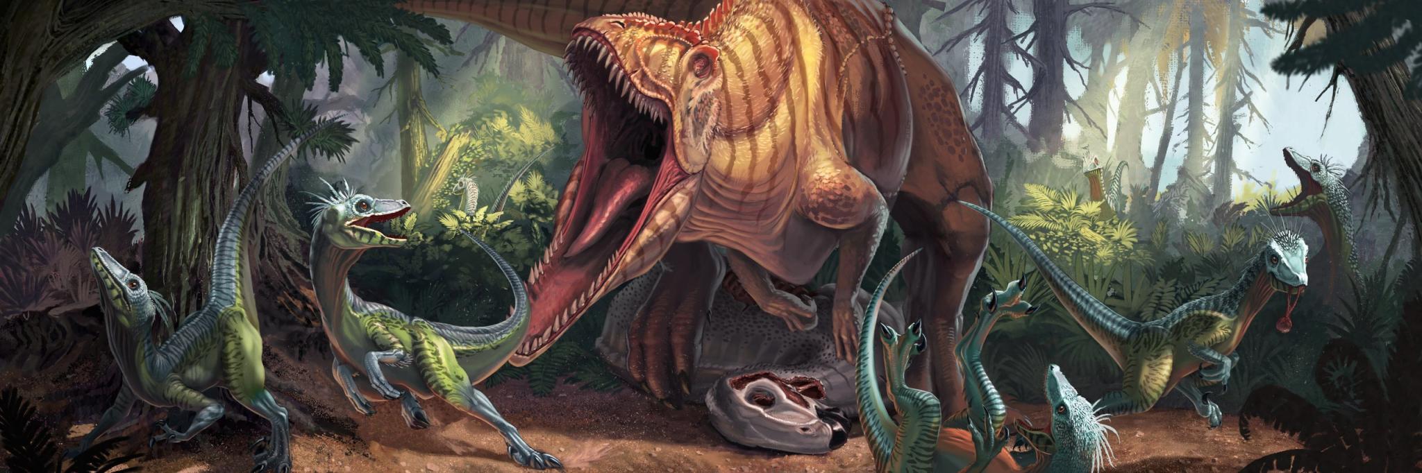 Discovery splash banner for TAPKIN SUPREME (LEGACY) Discord server