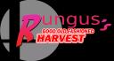Discovery splash banner for Normal Non-Notable Average Harvest Discord server