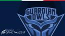 Discovery splash banner for Guardian OWLS - gametales.it Discord server