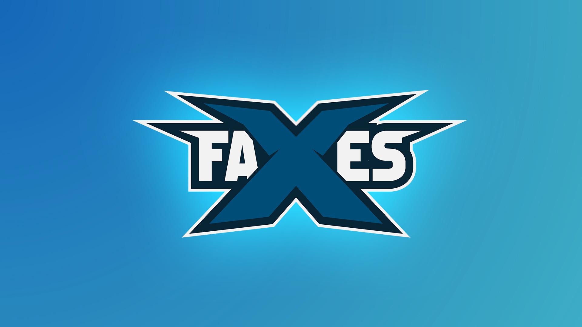 Discovery splash banner for FAXES Weblutions® Discord server