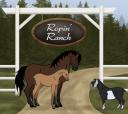 Discovery splash banner for Ropin' Ranch Discord server