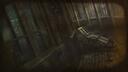Discovery splash banner for Senscape Discord server