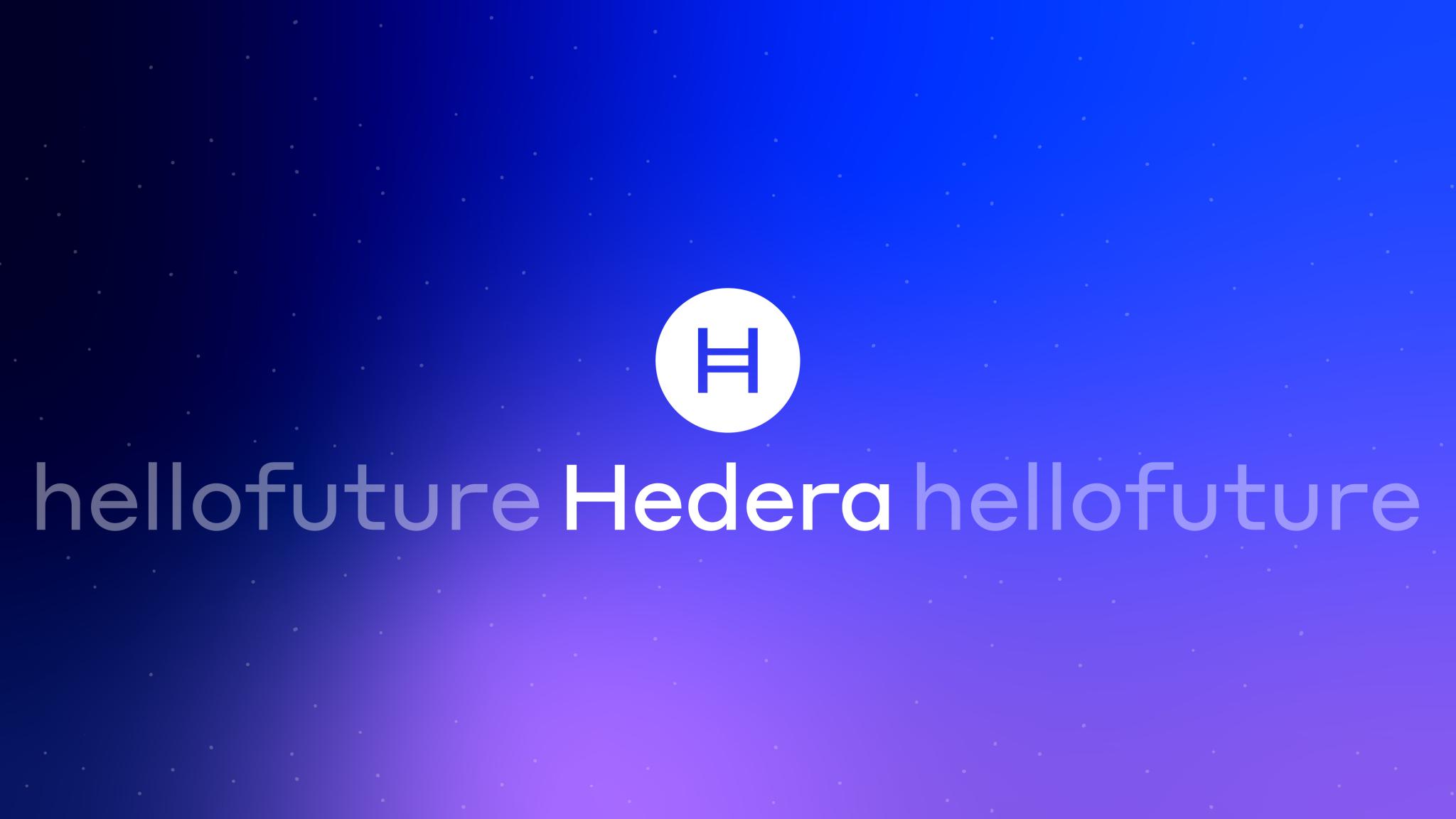 Discovery splash banner for Hedera Discord server