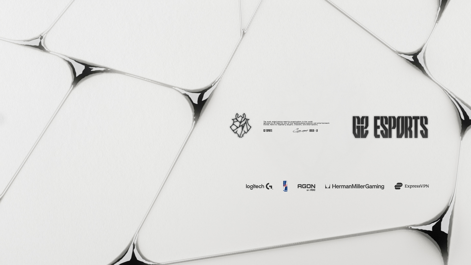 Discovery splash banner for G2 Esports Discord server