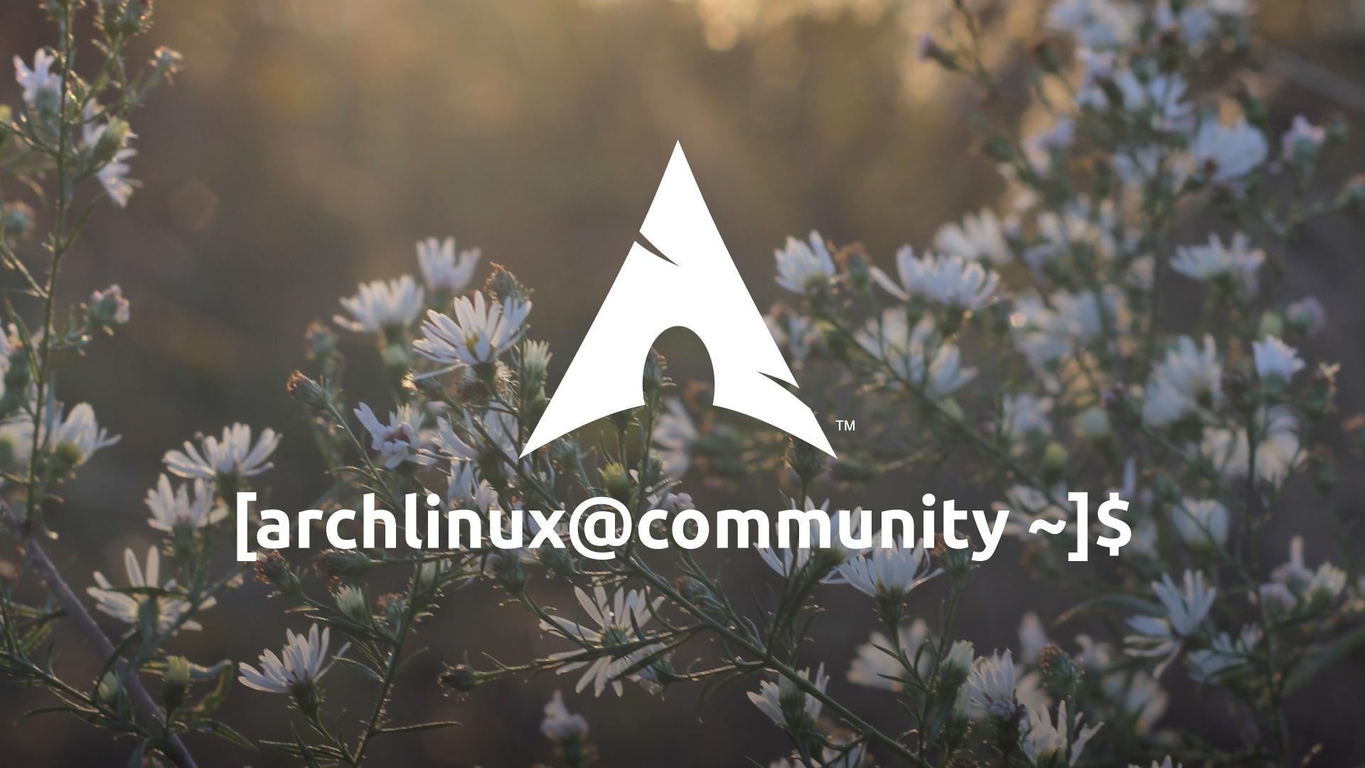 Discovery splash banner for Arch Linux Community Discord server