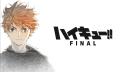 Discovery splash banner for Haikyuu Volleycamp Discord server