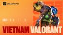 Discovery splash banner for Valorant Vietnam Community Discord server