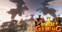Discovery splash banner for Blaze Gaming Discord server