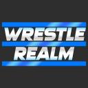 Discovery splash banner for WrestleRealm Discord server