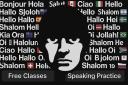 Discovery splash banner for The Language Sloth Discord server