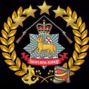 Discovery splash banner for Queen's Royal Regiment Discord server