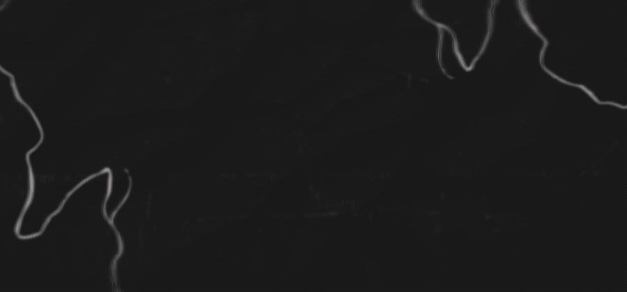 Discovery splash banner for Call of Duty: France Discord server