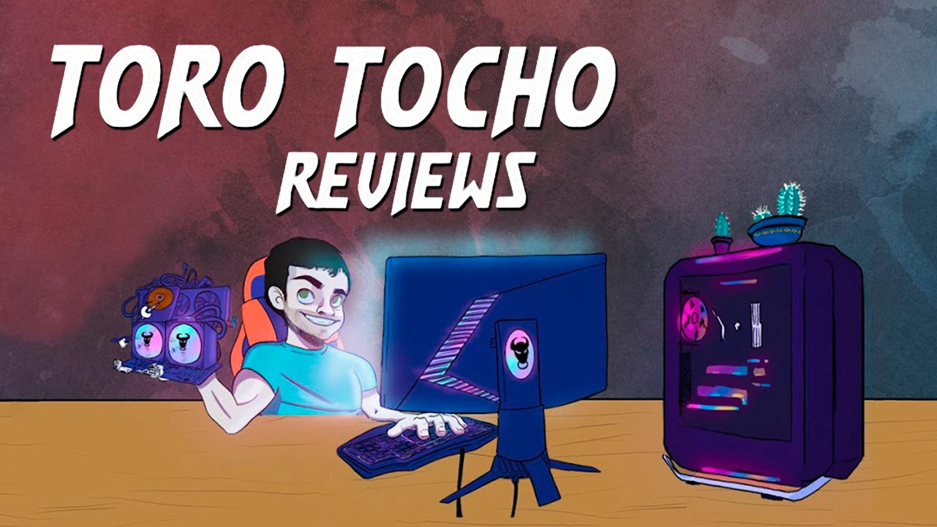 Discovery splash banner for Toro Tocho Reviews Discord server