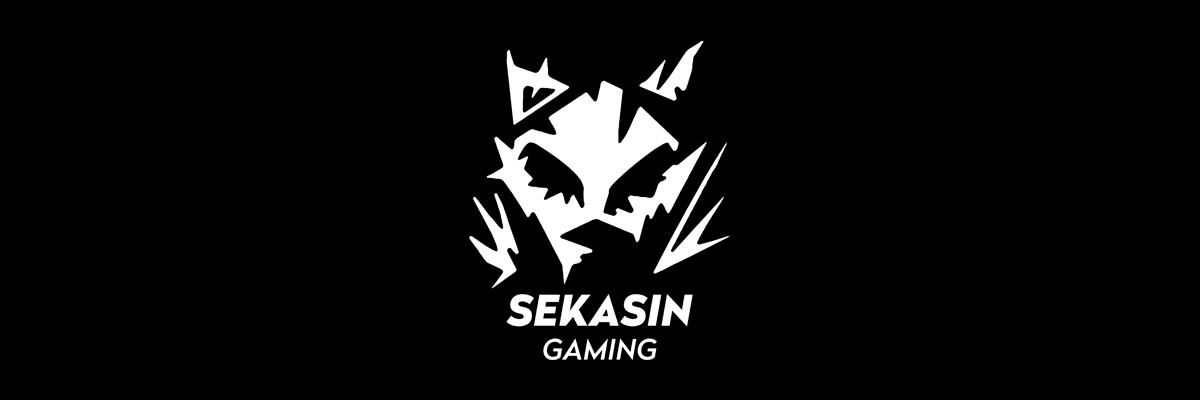 Discovery splash banner for Sekasin Discord server