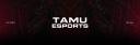 Discovery splash banner for Texas A&M Esports Discord server