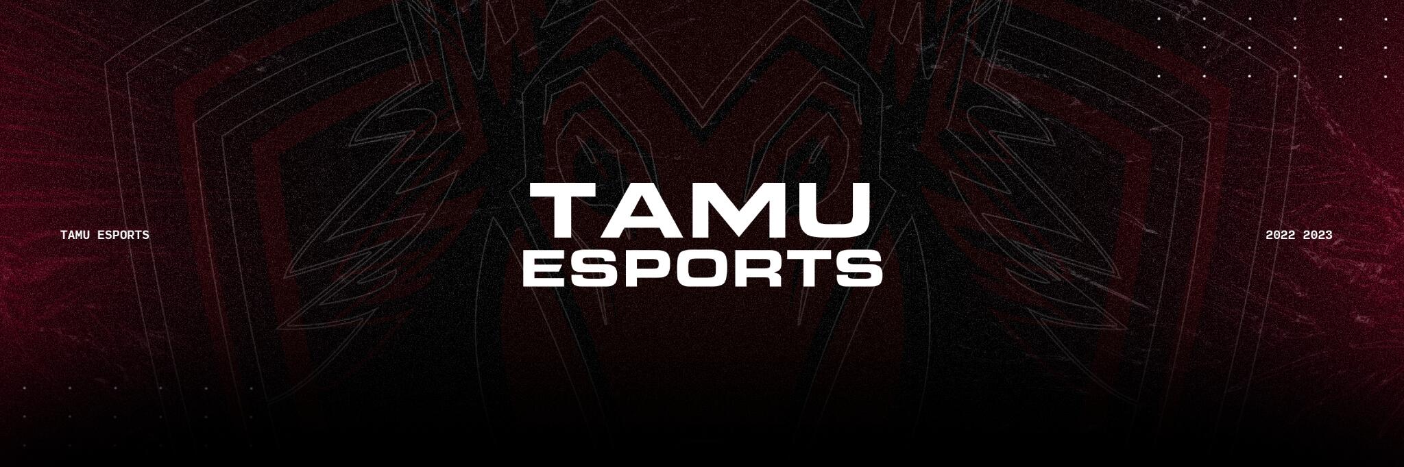 Discovery splash banner for Texas A&M Esports Discord server