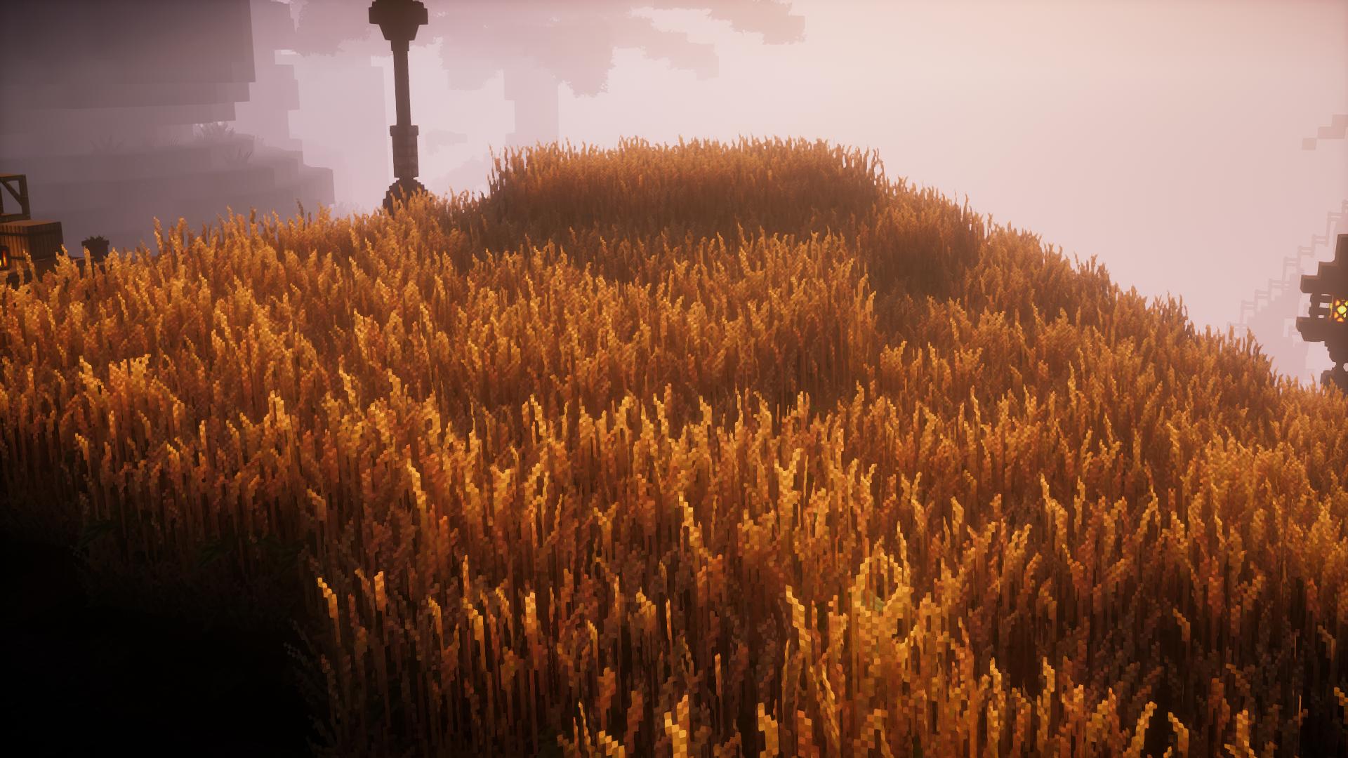 Discovery splash banner for CRISPY NETWORK | COMMUNITY Discord server