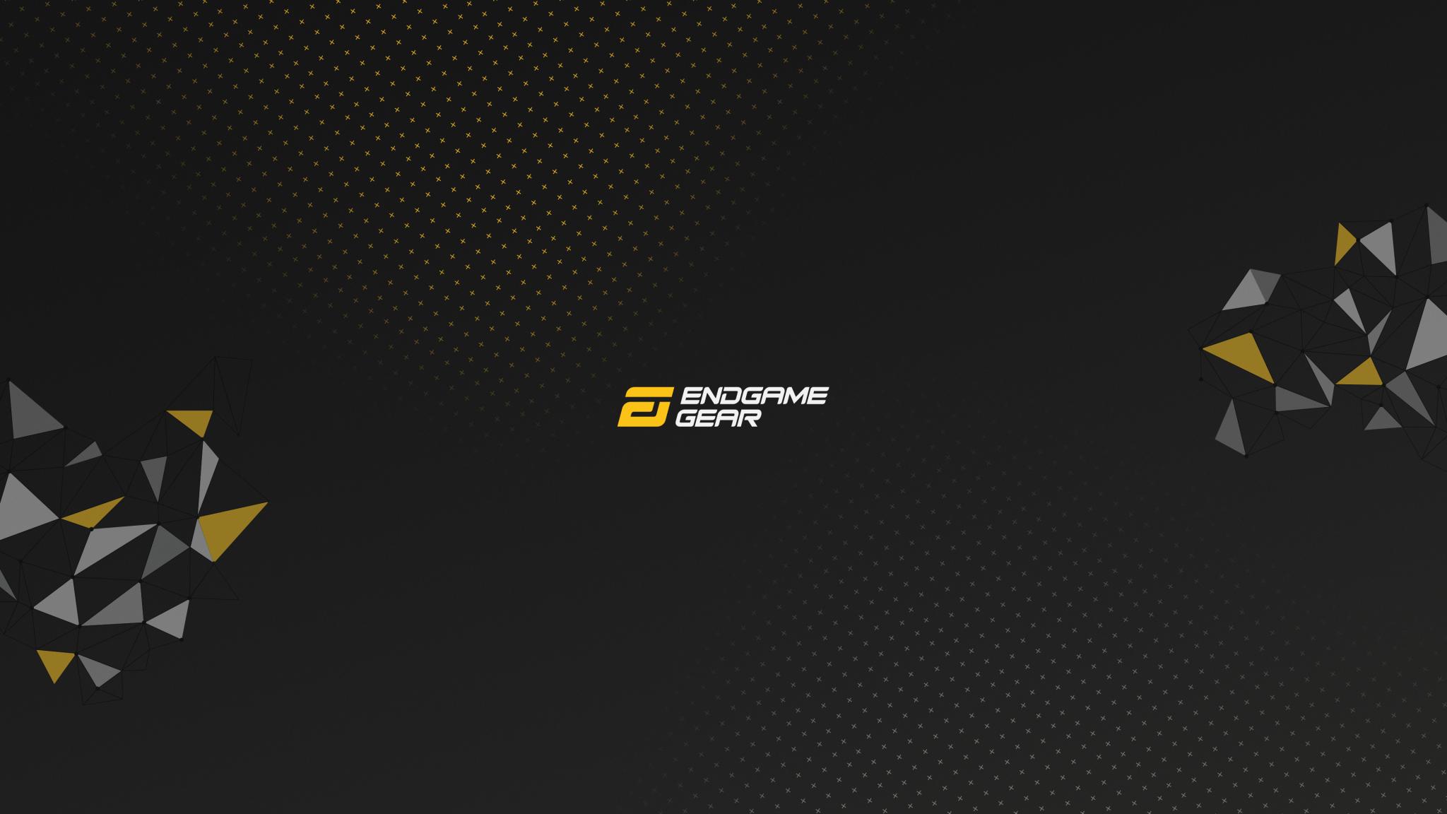 Discovery splash banner for Endgame Gear Discord server