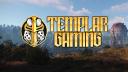 Discovery splash banner for TemplarGaming Rust Discord server
