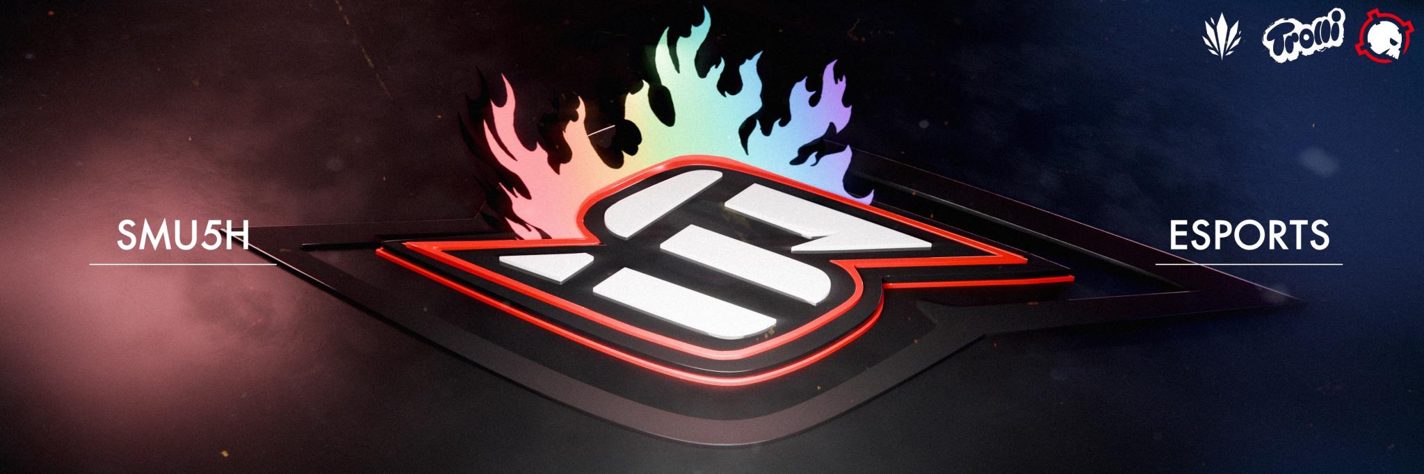 Discovery splash banner for SmU5h Discord server