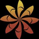 Discovery splash banner for Martial Arts Alliance Discord server